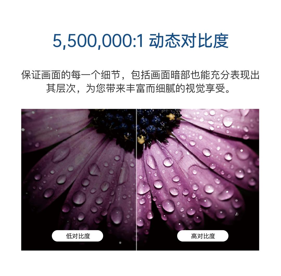 网站共用宣传点_画板 1 副本 8.jpg